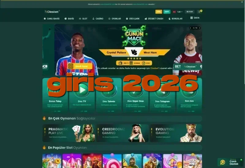 Diesbet ana sayfa görünümü